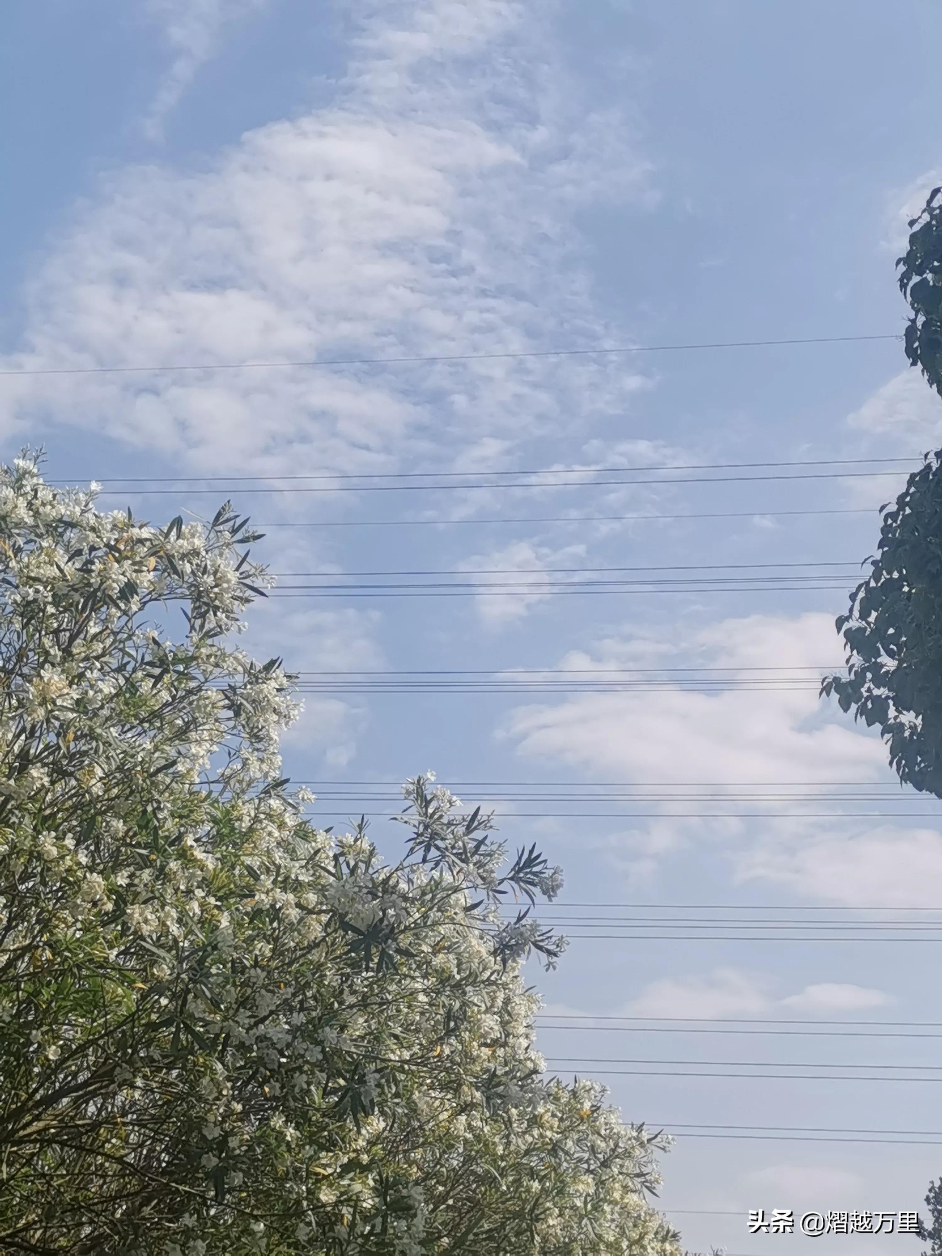 明白了什么是真的懂得什么是假的,明白了什么是过眼云烟