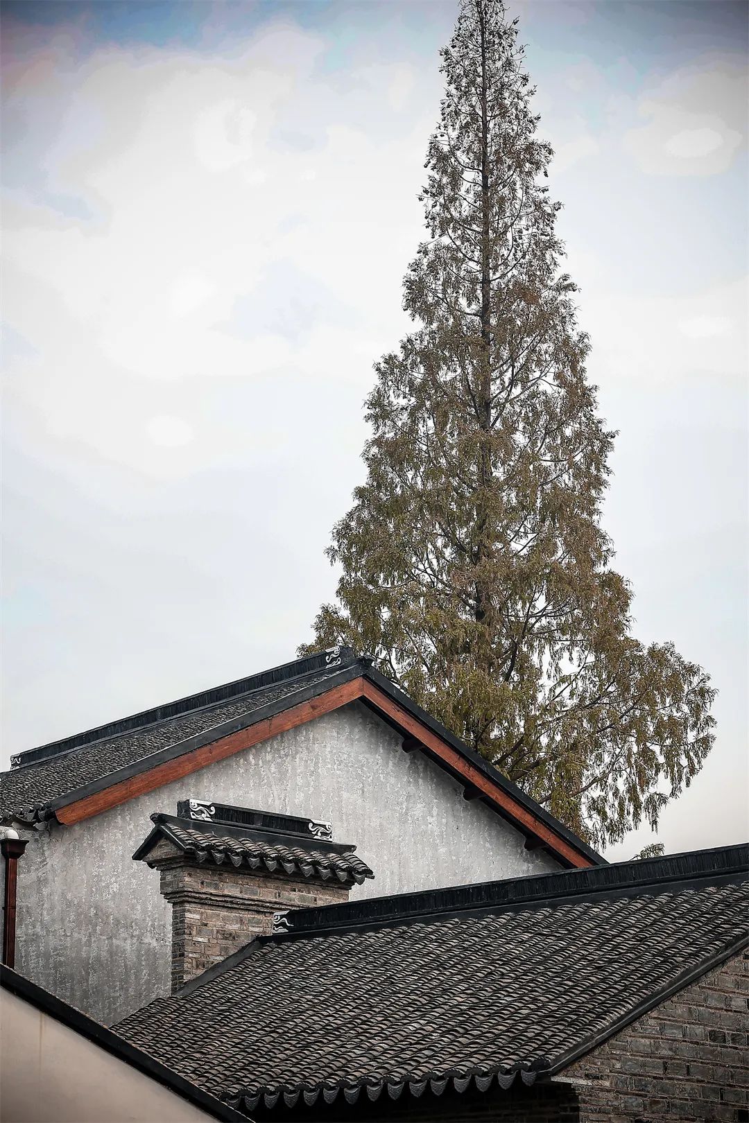 无锡东亭老街在哪里啊,东亭老街拆迁计划最新