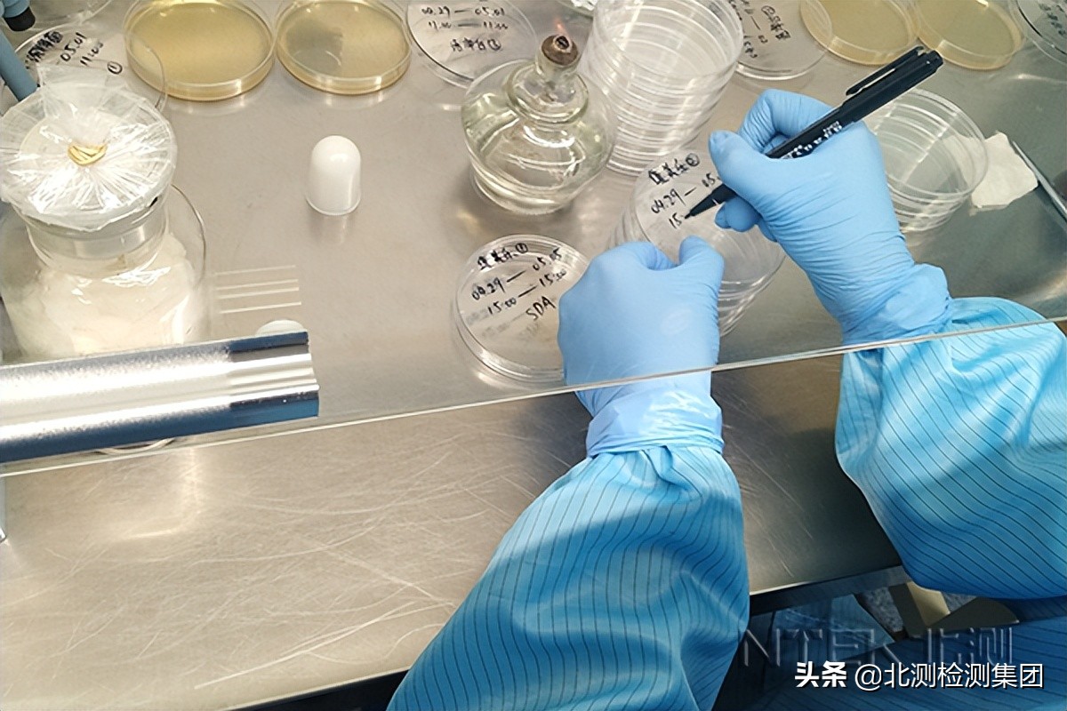 霉菌检测报告办理指南