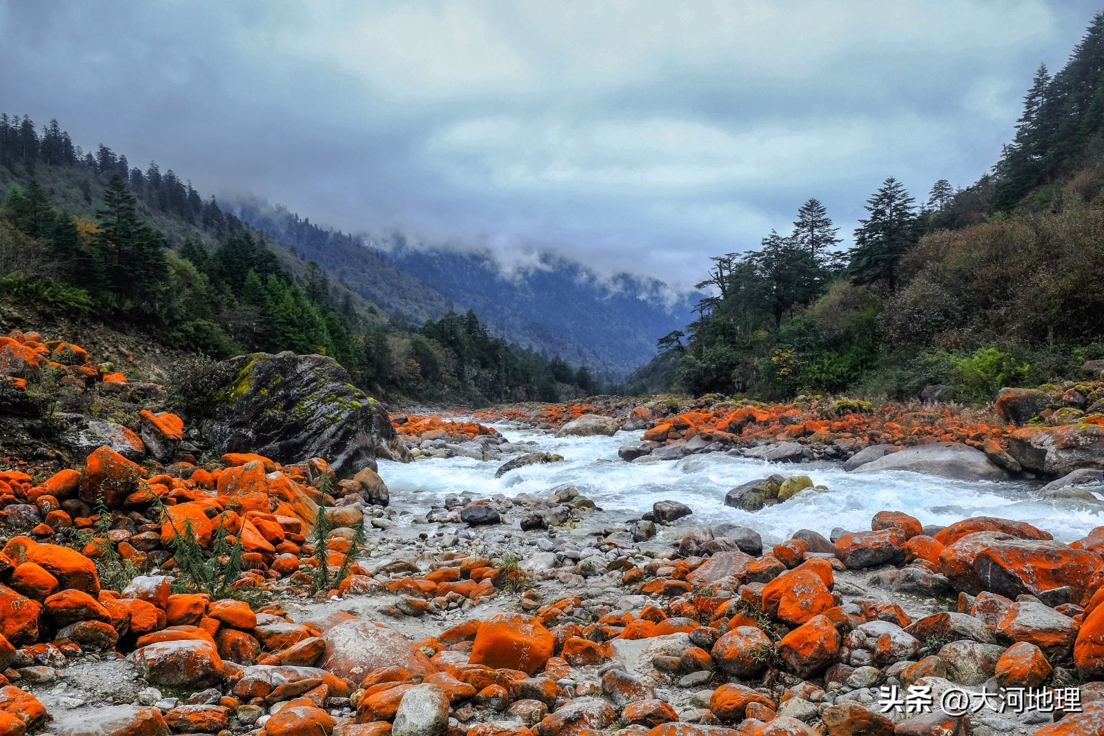中国南方这30个景点,难说多知名,但敢说它的秋色最艳最浪漫