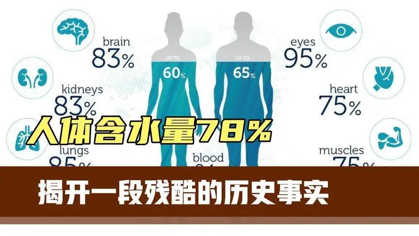 日本731部队是谁建的,日军731部队最后怎么样了
