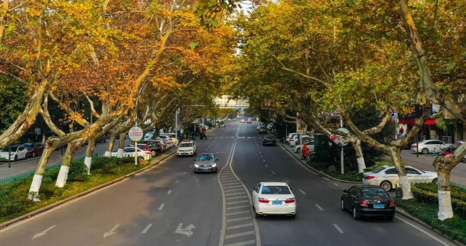 合肥市新桥机场旁边有旅游景点,合肥市好玩的旅游景点