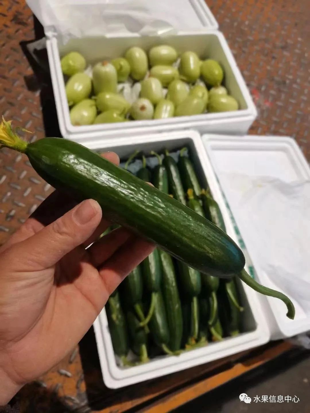 盘点那些迷你的东西,盘点不同样子的水果