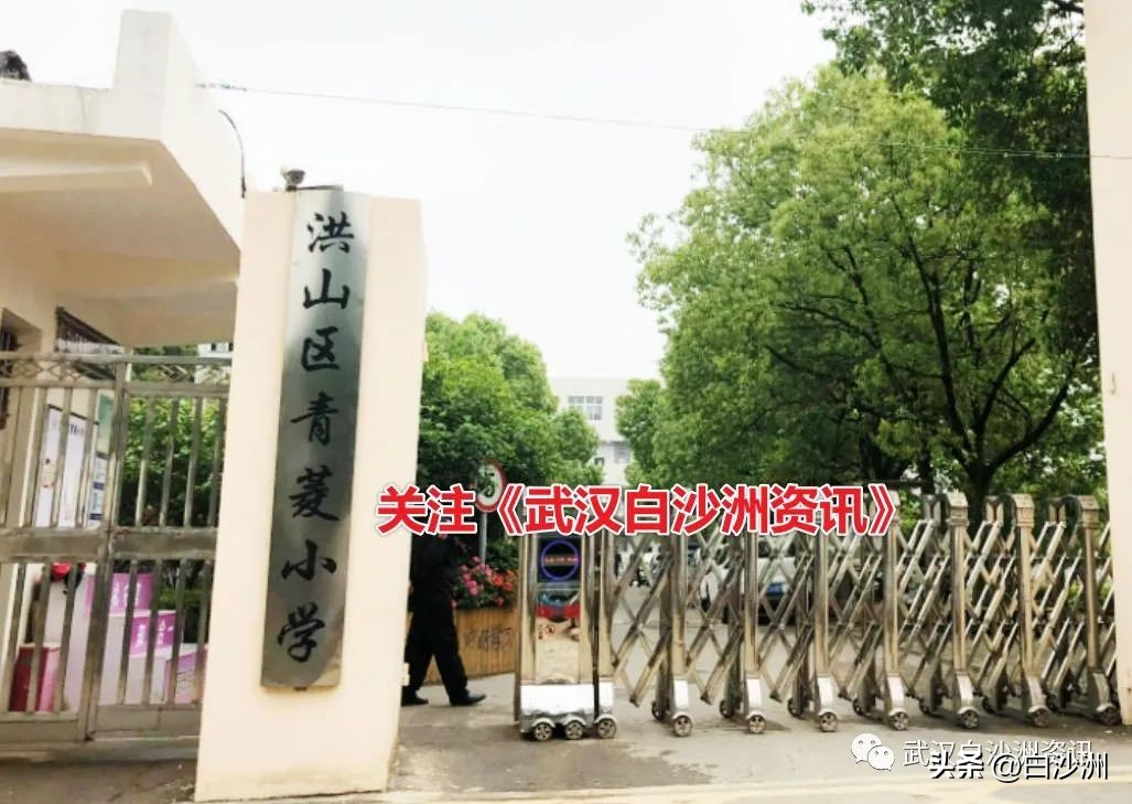 白沙洲中小学最新规划图,白沙洲青菱学校规划一览表