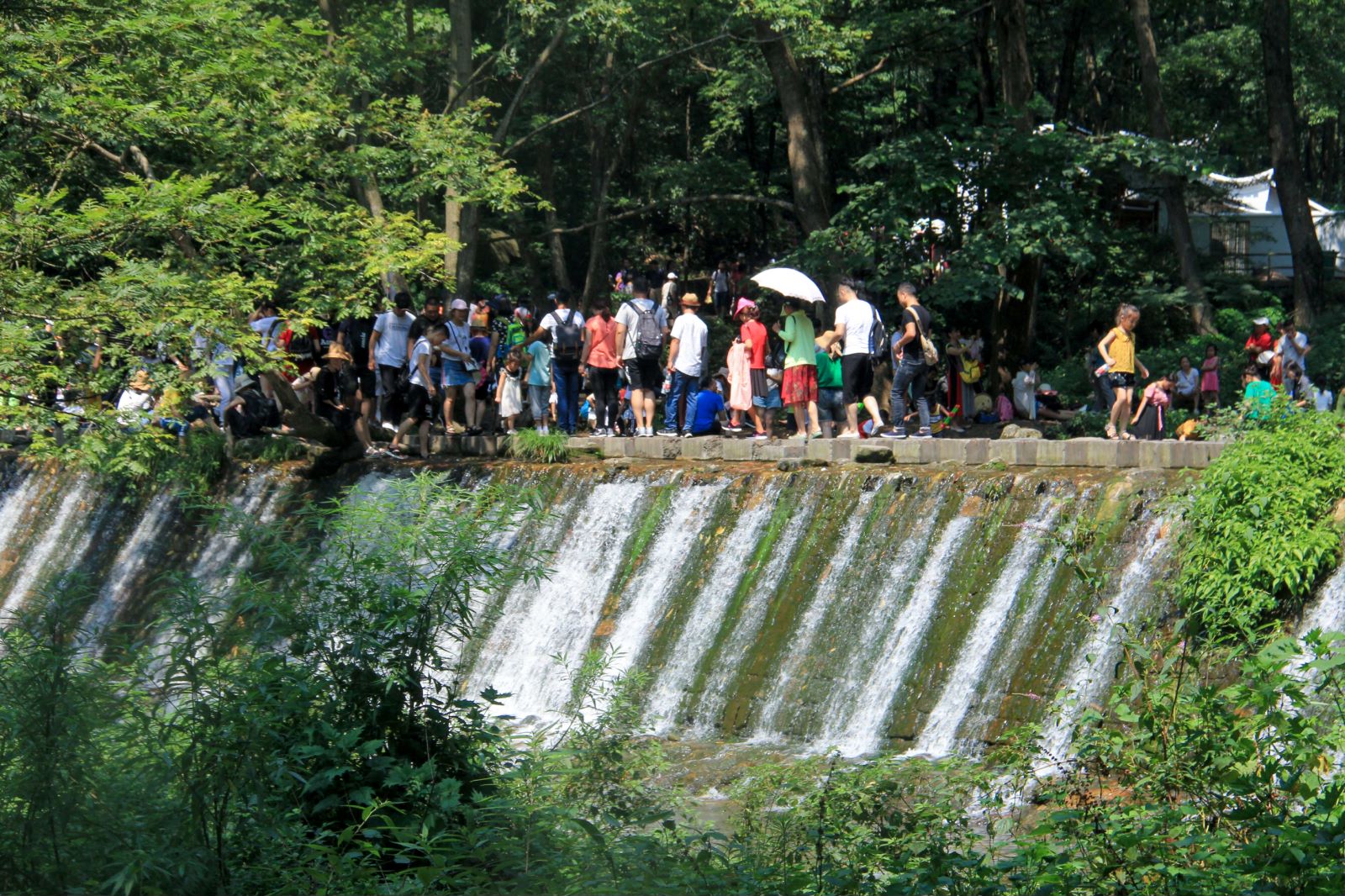 去张家界玩的攻略大全,湖南张家界旅游攻略4天3晚价格