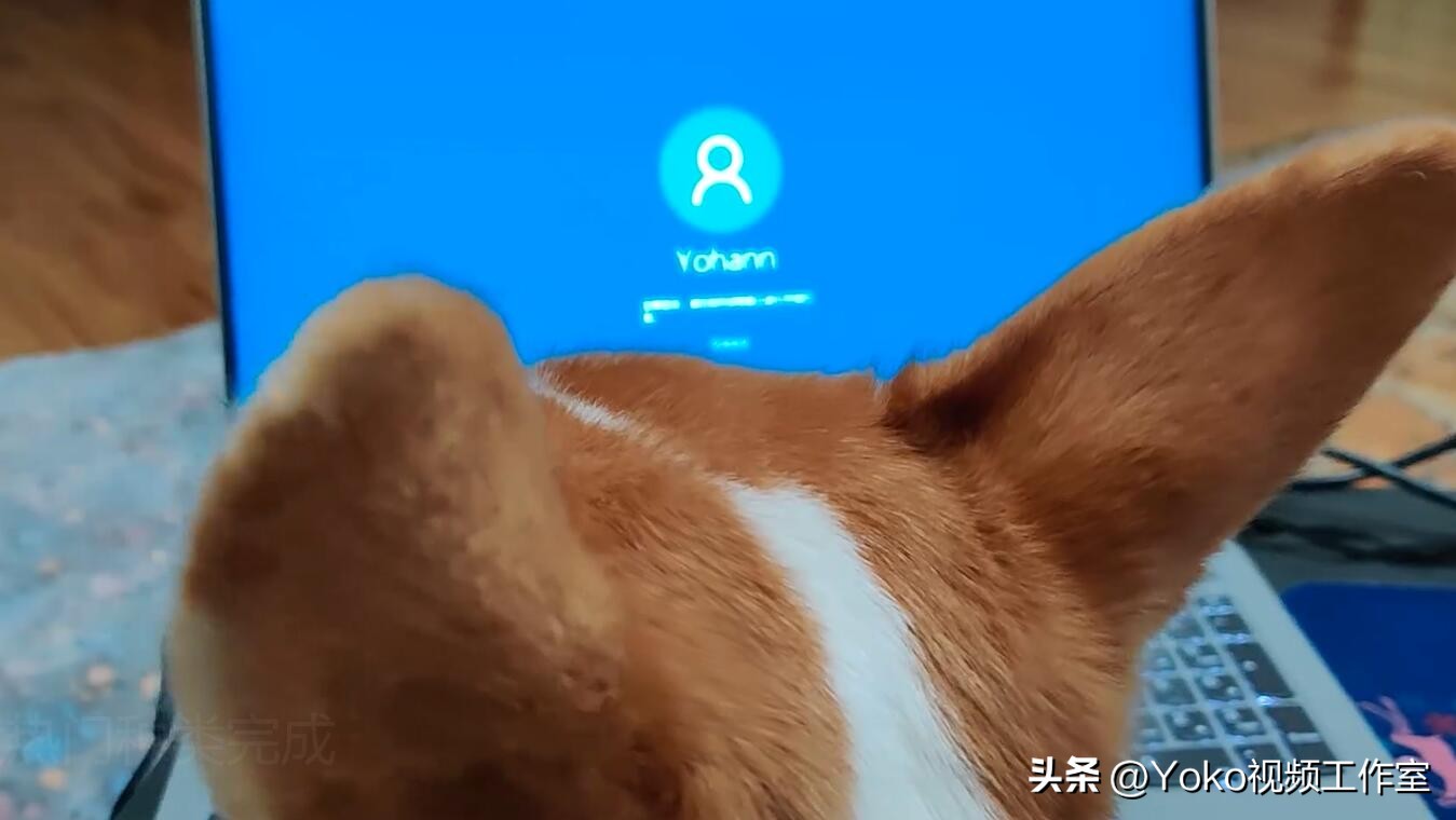 2023笔记本电脑推荐排行榜最新,笔记本电脑最新推荐品牌有哪些