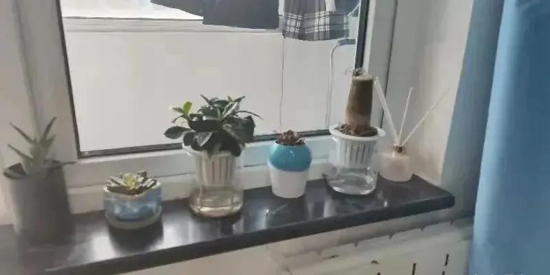 盘点住宿环境最好的十所大学,国内住宿环境便宜又最好的大学