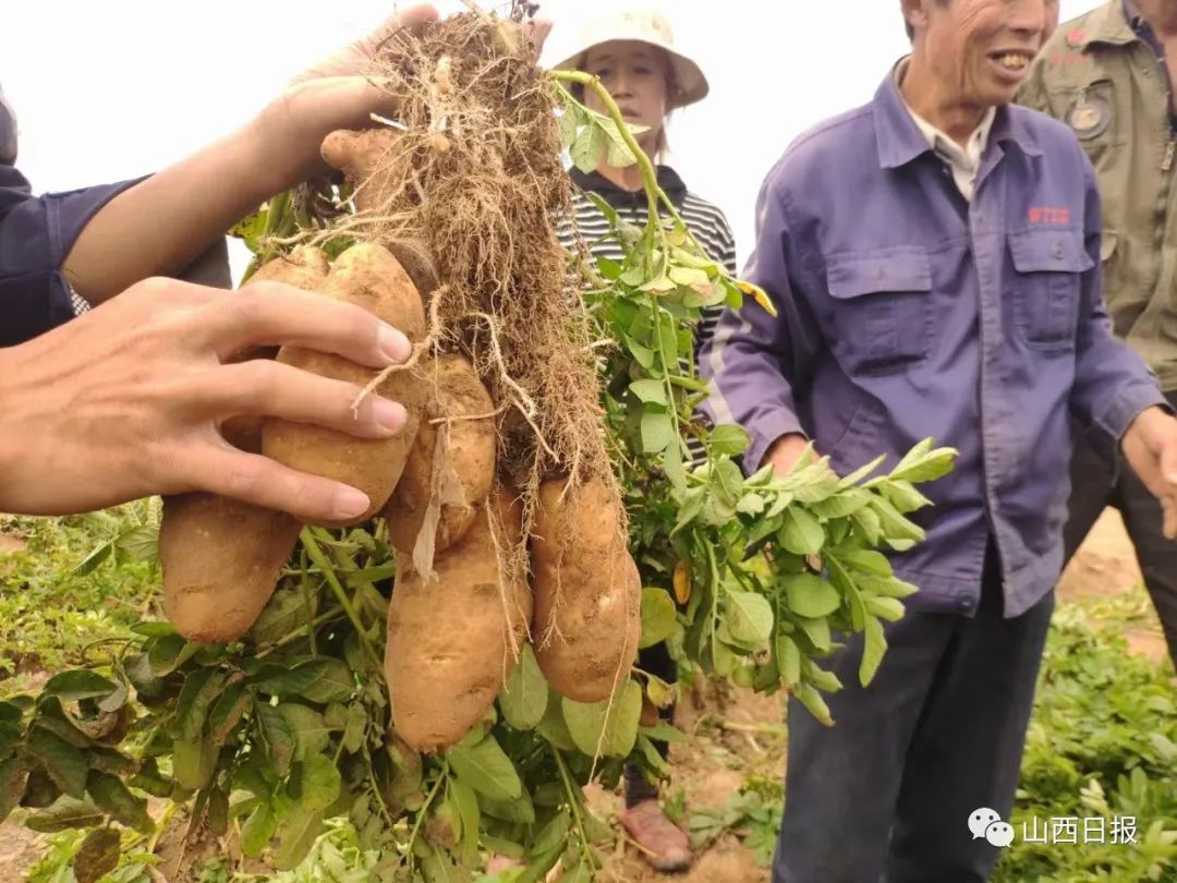 鍦熻眴闈╁懡鍔╁姏涓版敹涓颁骇,鍏ㄧ渷鍔犲伐鍨嬮┈閾冭柉