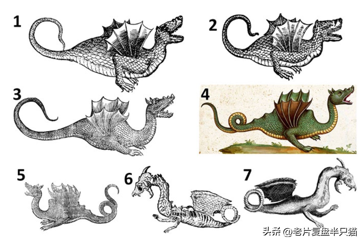 跟哥斯拉中的泰坦巨兽做一个对比,哥斯拉里面的18只泰坦巨兽排行榜