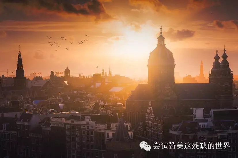 荷兰厨师工作签证可以移民吗,荷兰厨师免签一个月