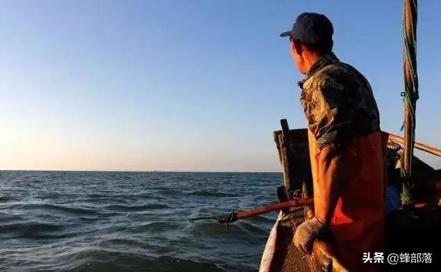 一网4500斤黄鱼,渔民一网野生黄鱼出957万高价
