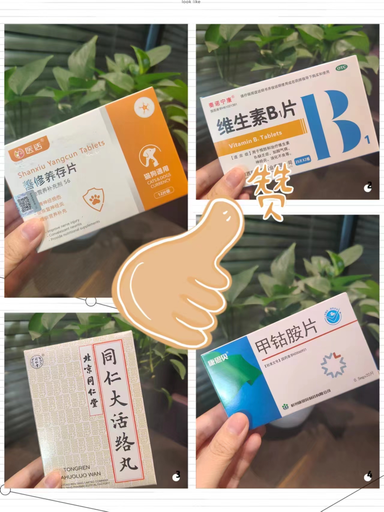 3个月的小狗神经炎,小狗神经炎的症状表现