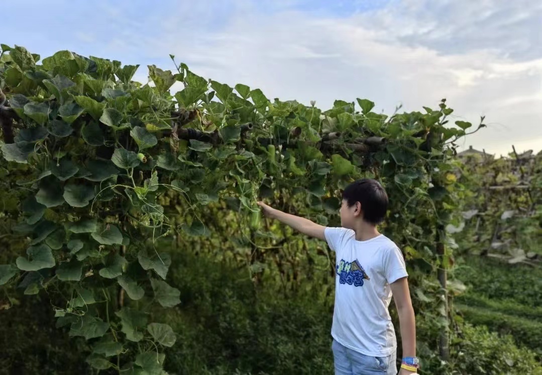 终于去了“中国本土版ClubMed”,乌村也太好玩了吧