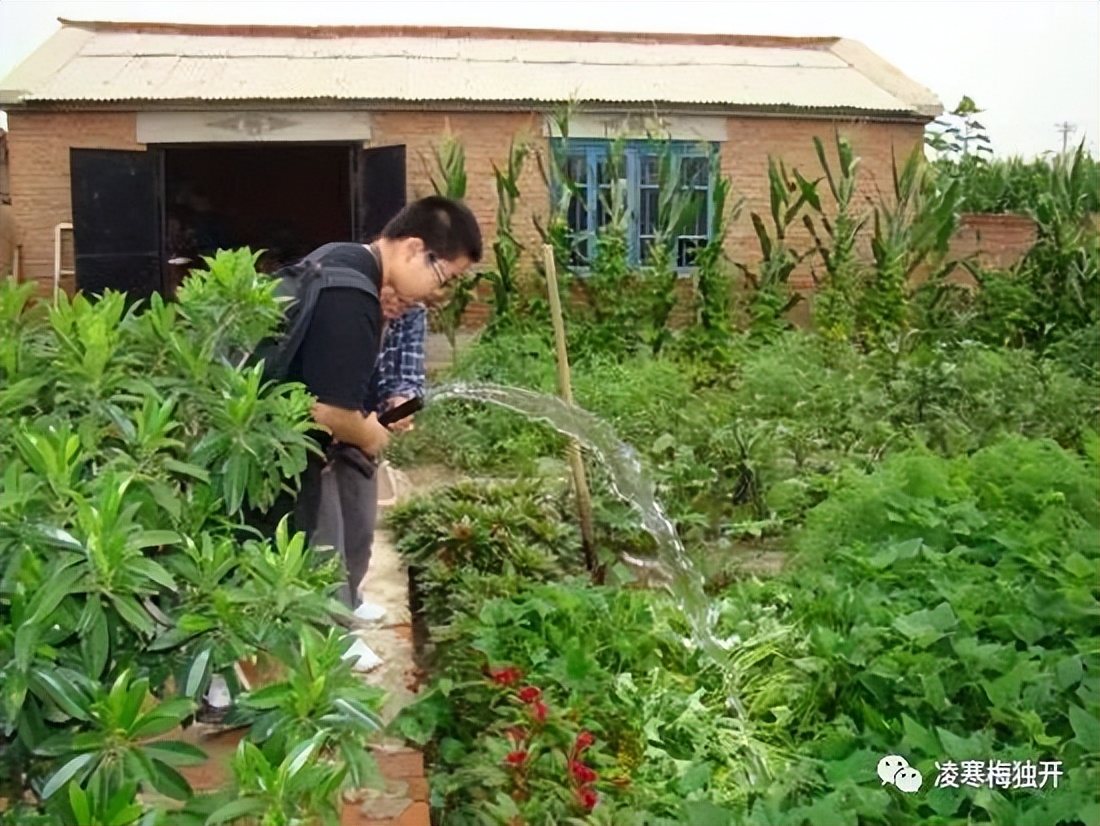 我的奇趣岁月——小学