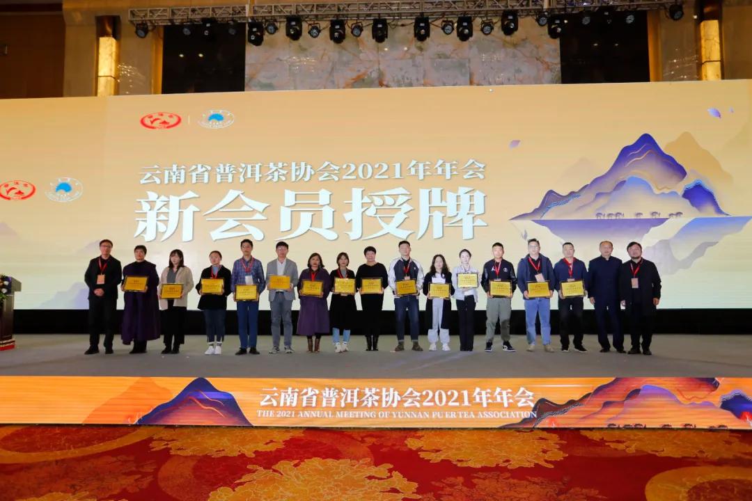 普洱茶产业高峰论坛发言,普洱茶行业的现状及未来发展趋势