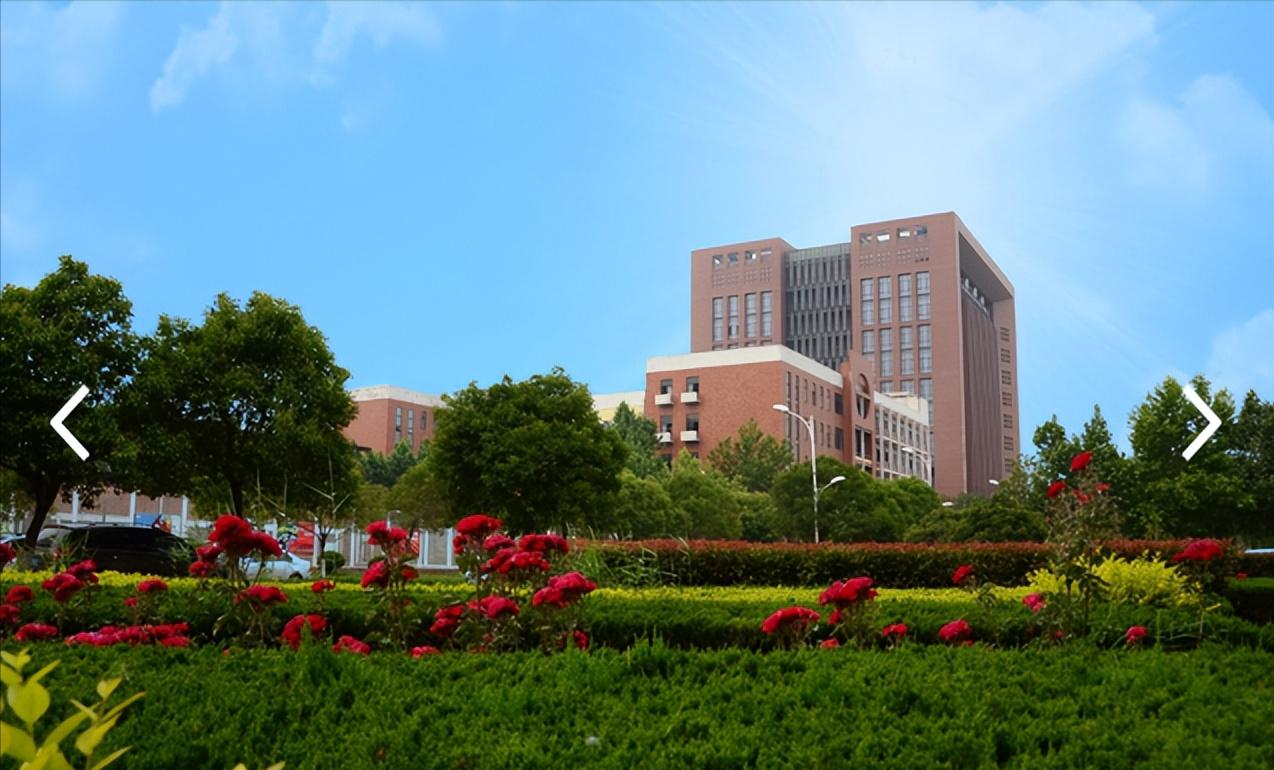 河南一学院计划升级为大学，申请博士点，网友：取校名还是个问题