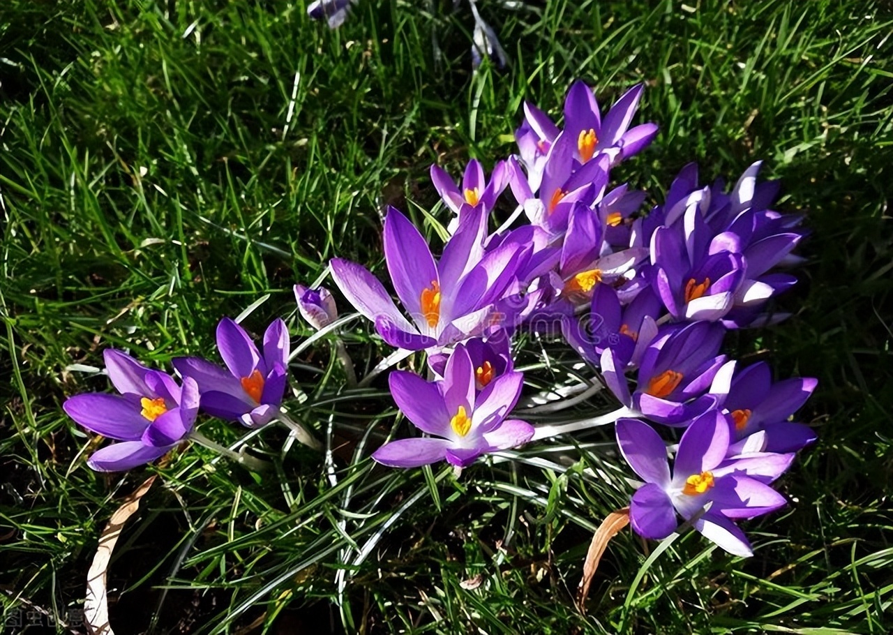 唐诗中有禅意的诗句,禅意七绝108首诗