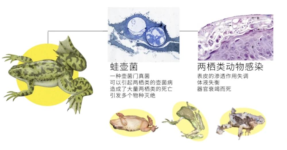 古人啪啪啪后，怎么知道中没中？