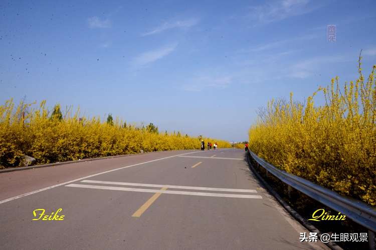 北京近郊春景,济南近郊春景