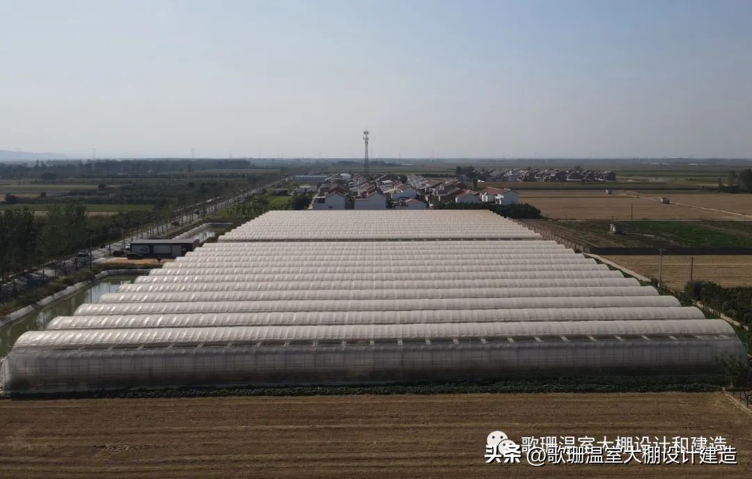 河南热门连栋温室大棚项目,河南蔬菜连栋温室大棚建造