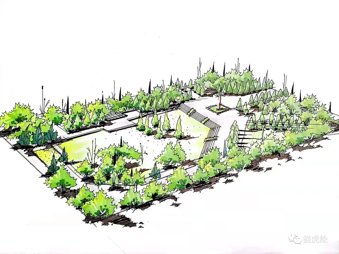 2022猫虎绘暑假手绘班招生简章「线上+线下」