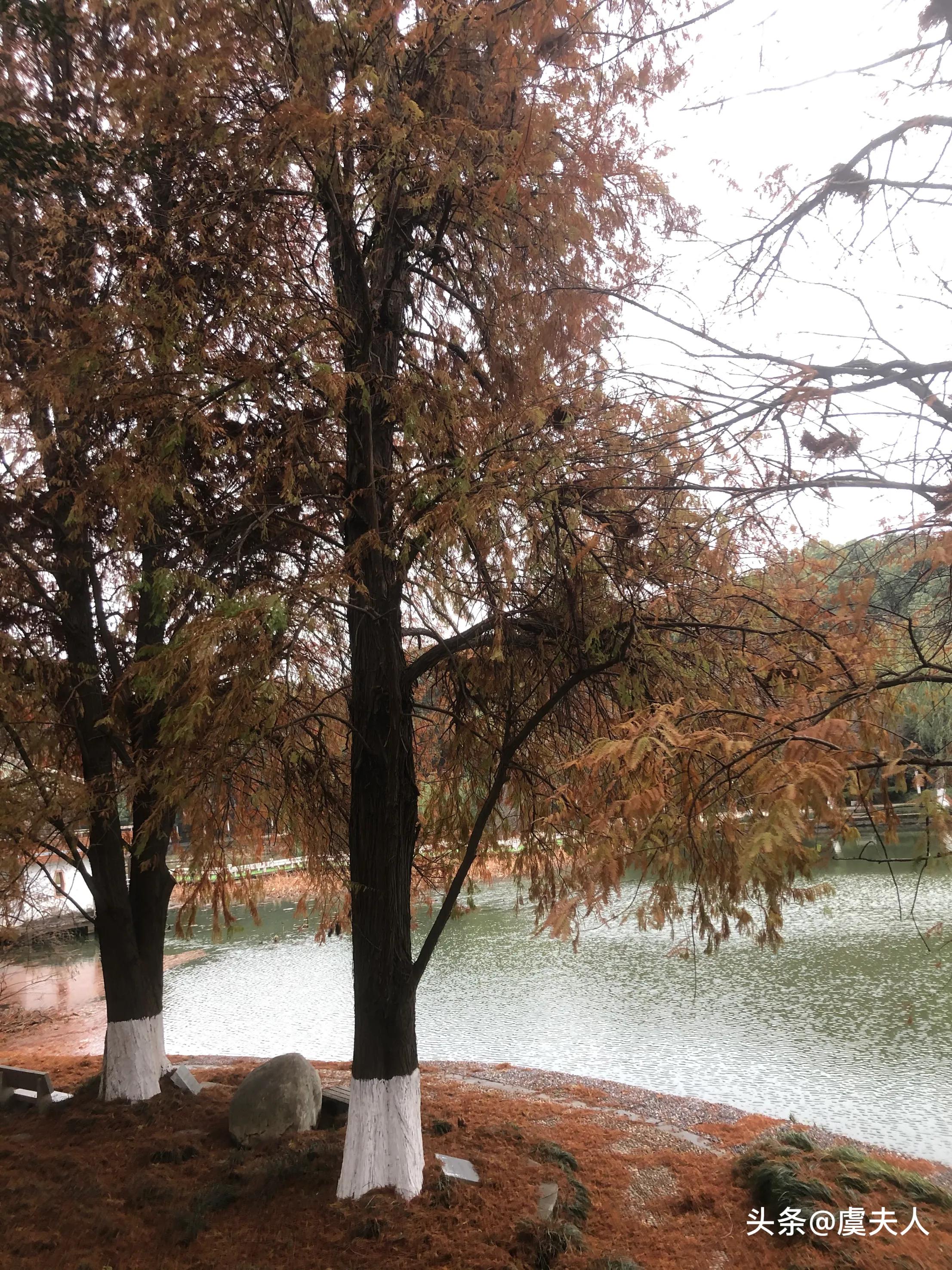 草木荣枯自有时万物从容皆可得,草木荣枯自有时出自哪里