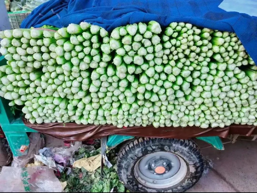 00后小伙辞职创业卖农产品,辞职回老家创业卖土特产