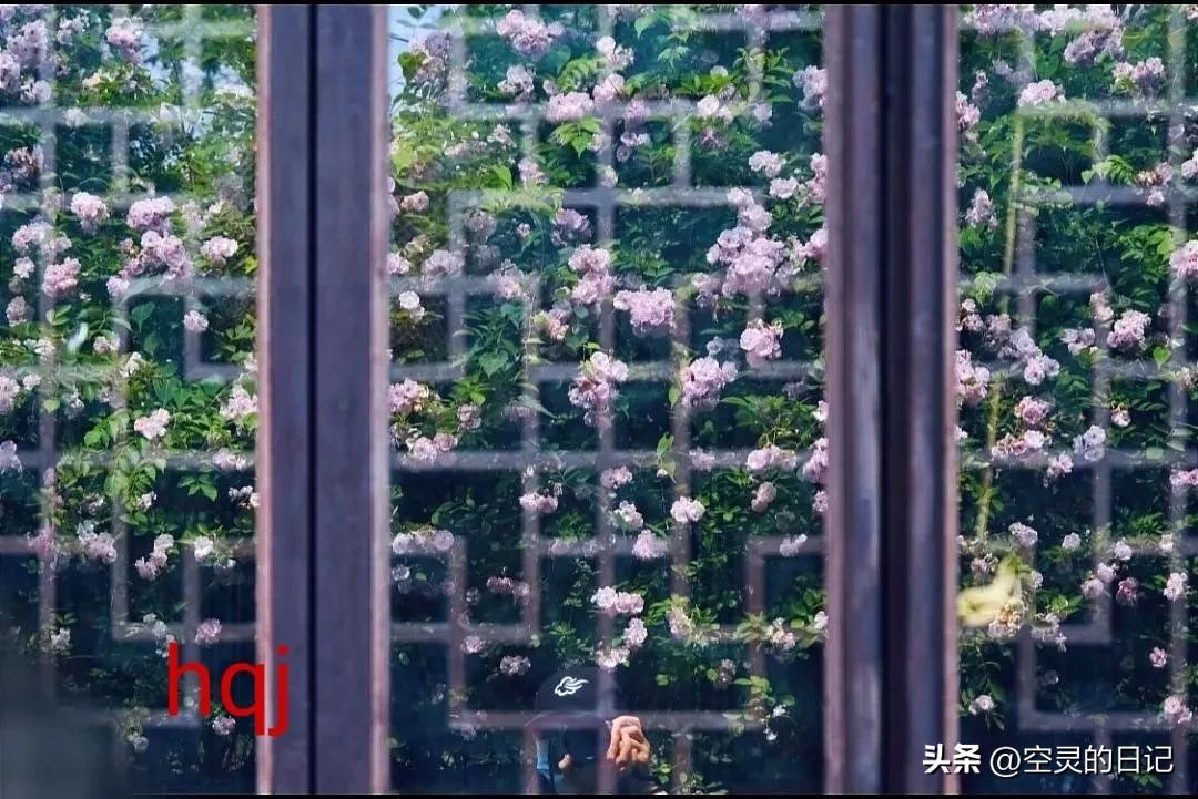 濡備綍鎵嶈兘鐪嬭浣犵殑瀹归,鎬庝箞鐪嬩綘鏄惁婕備寒