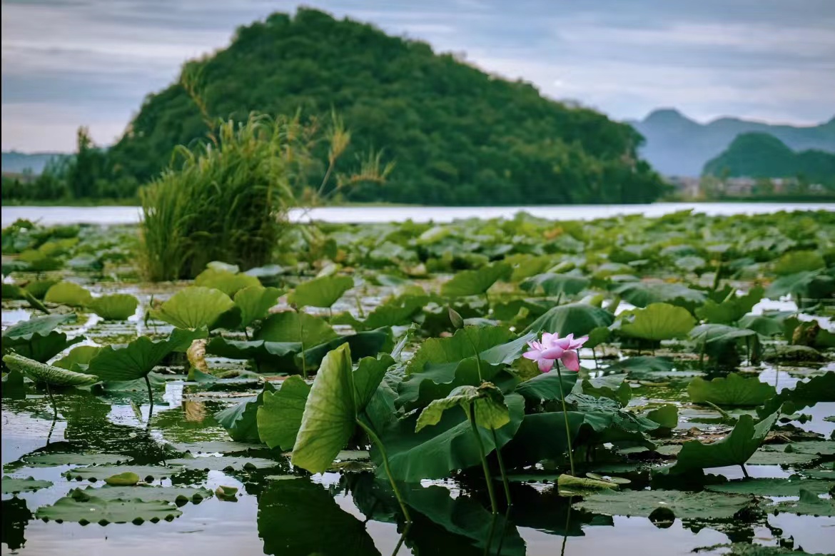 云南省四季如春之都,云南省哪个地区四季如春