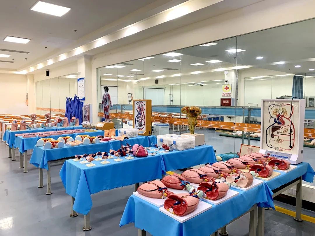 四川希望汽车职业学院排名,四川希望汽车职业学院开店