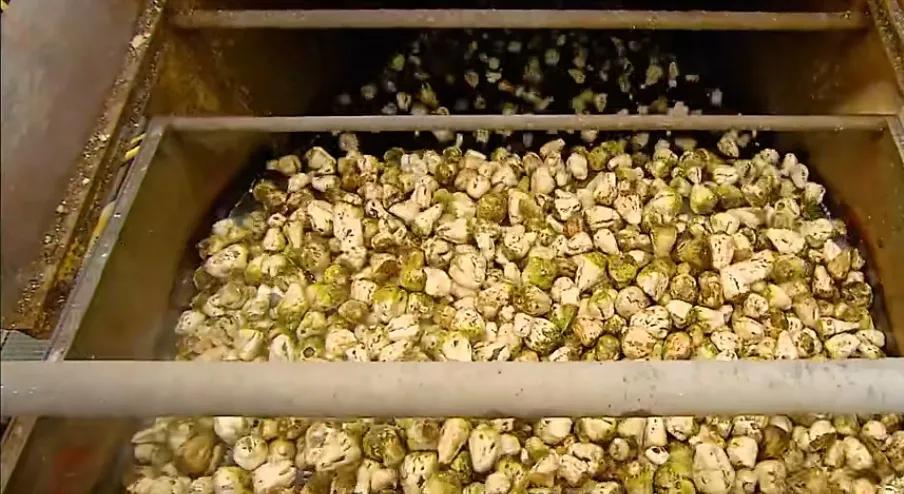 甜菜白糖和甘蔗白糖的价格区别,甘蔗和甜菜提炼的白糖哪个好