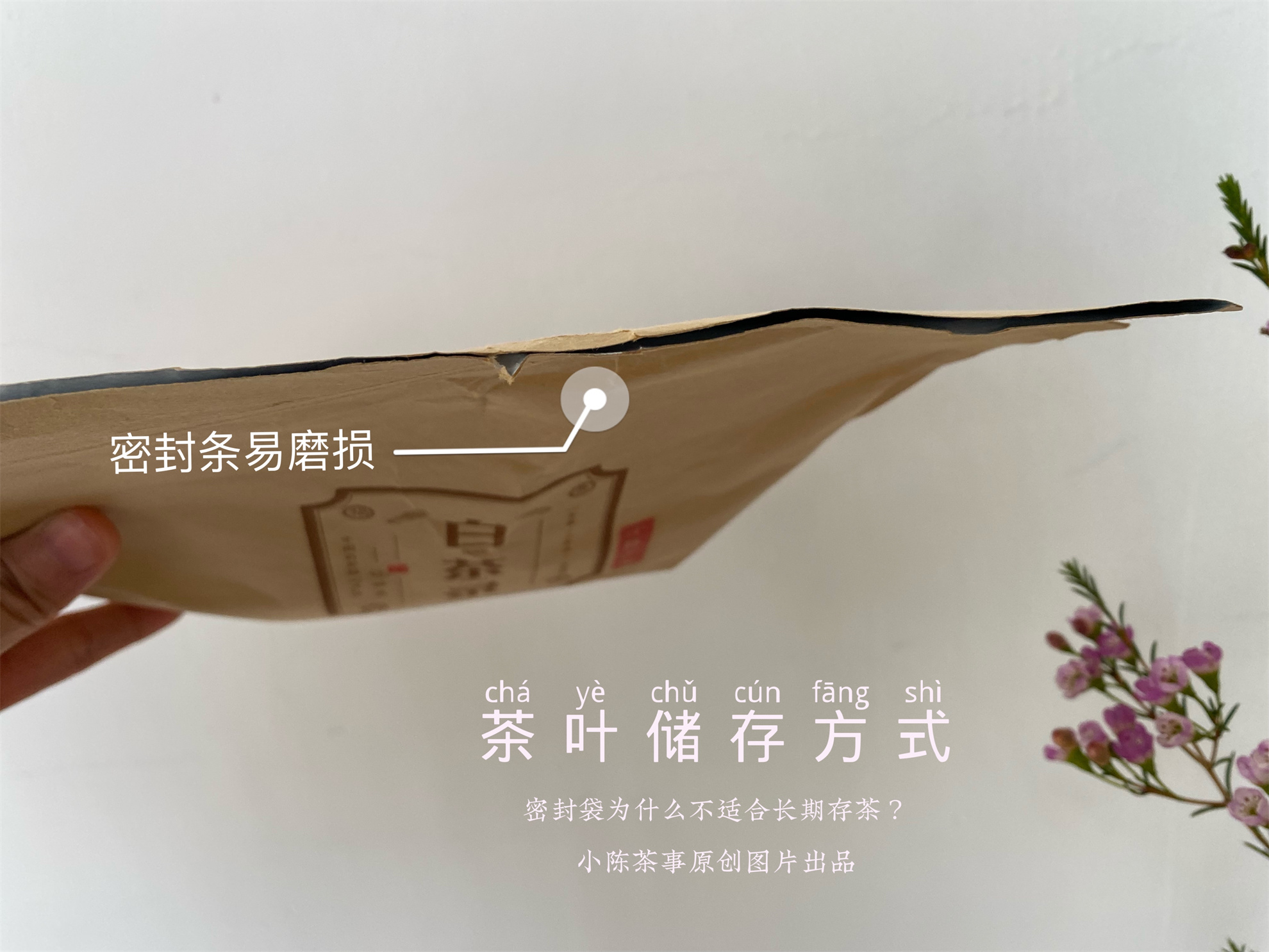 茶叶店存茶方法,教你七大茶系储存方法