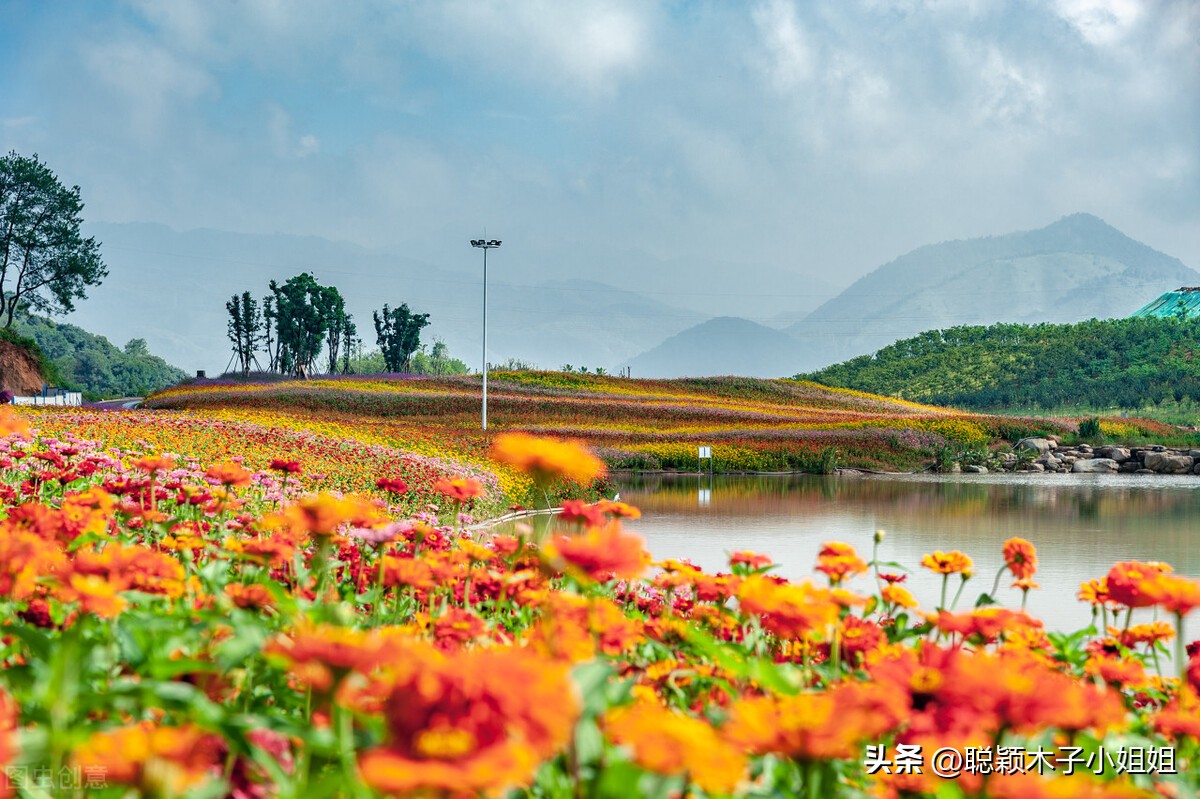 老了才知道子女是否孝顺,老了才知道儿女孝顺