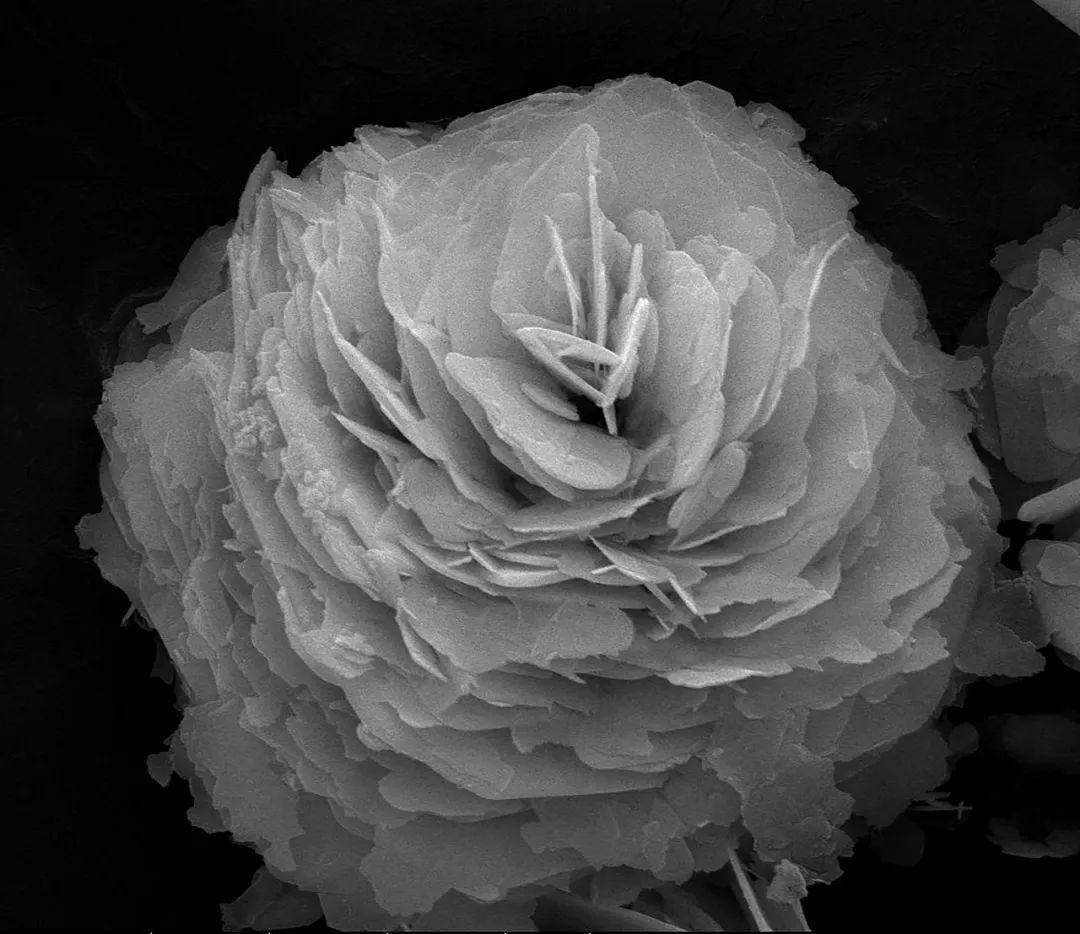 圆梦今夏，筑梦成电|科技人文篇之“科技篇”