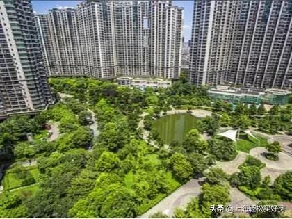 九年一贯制学校高质量发展,中远实验学校小学