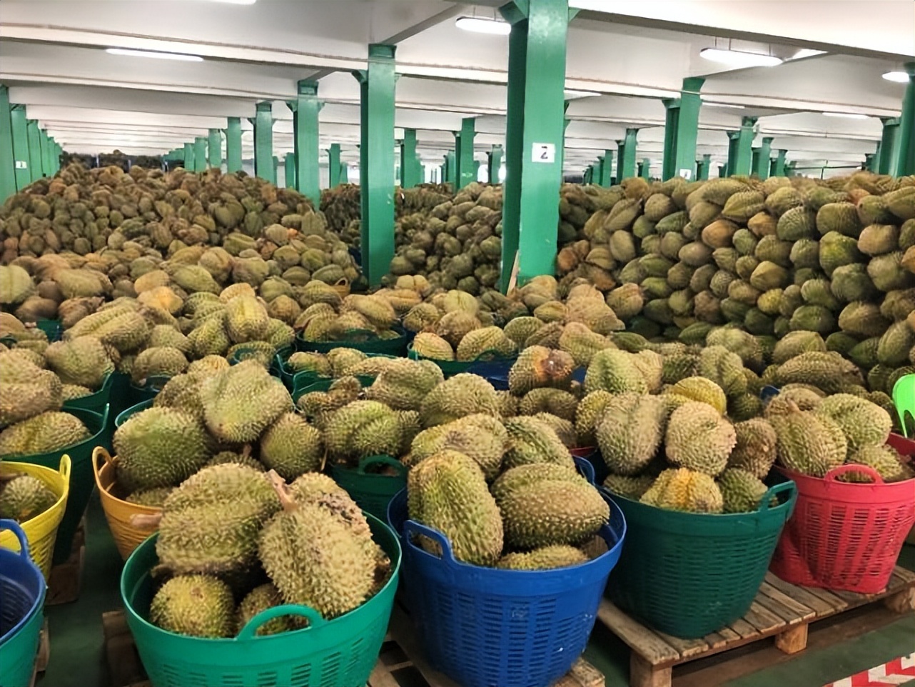 菲律宾榴莲出口中国有何效益,菲律宾普雅榴莲对华出口