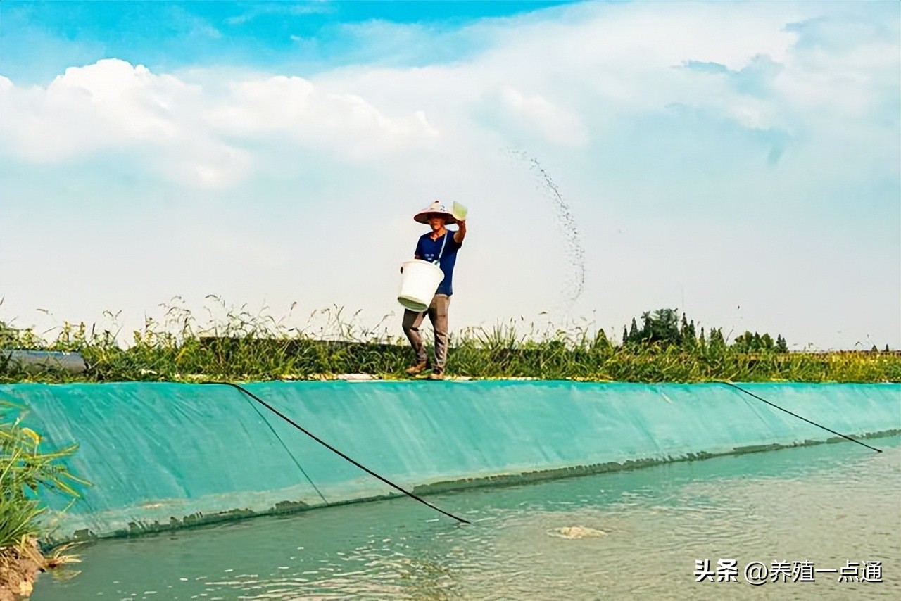 螃蟹塘用什么除草剂,蟹塘用除草剂的危害