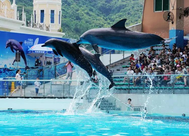深圳小梅沙和海洋世界,深圳小梅沙海洋世界10年前