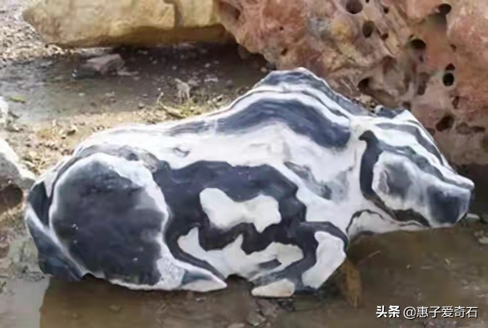 灵璧奇石珍珠石价格,灵璧上亿元的奇石