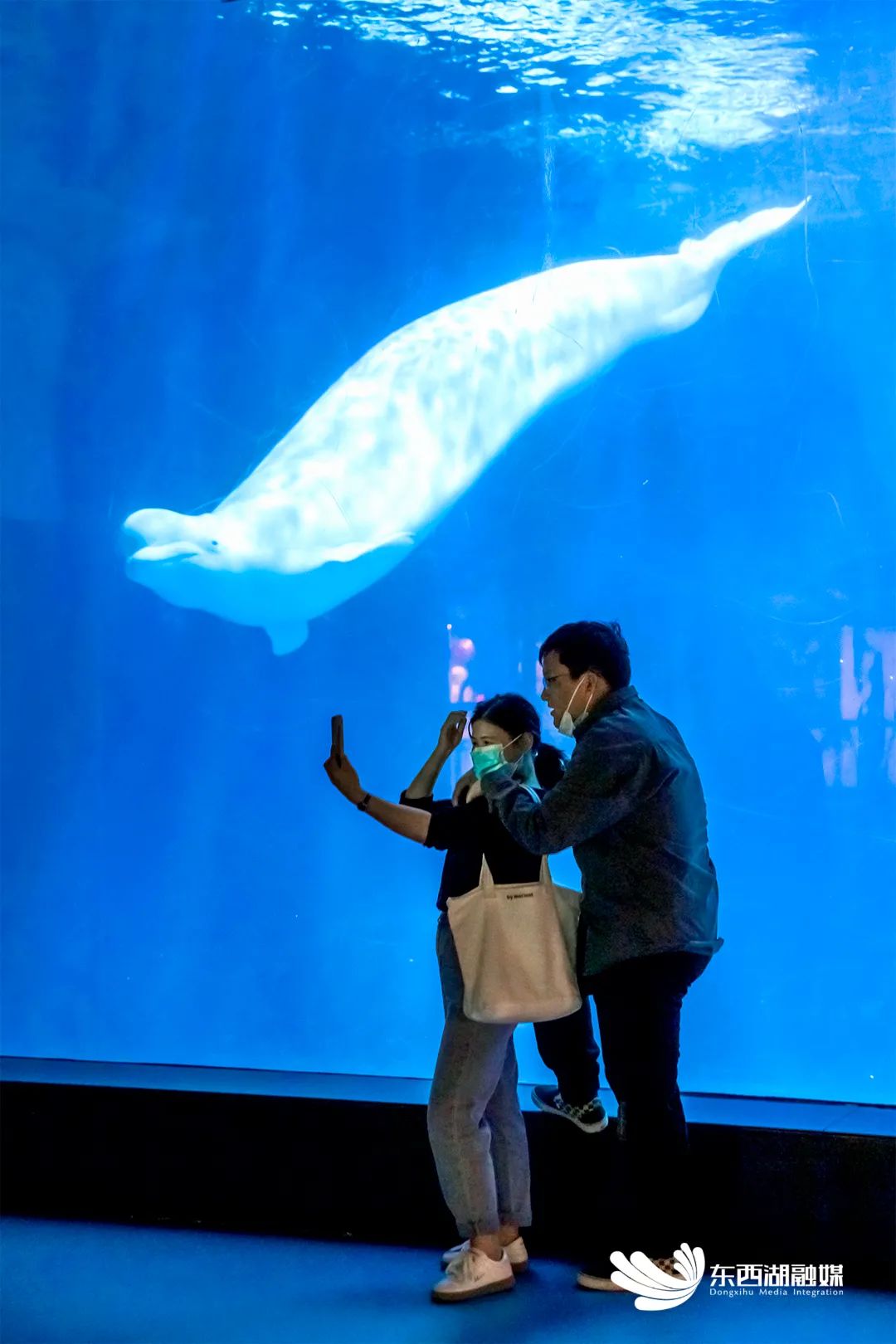 最新东西湖,武汉人眼中的东西湖