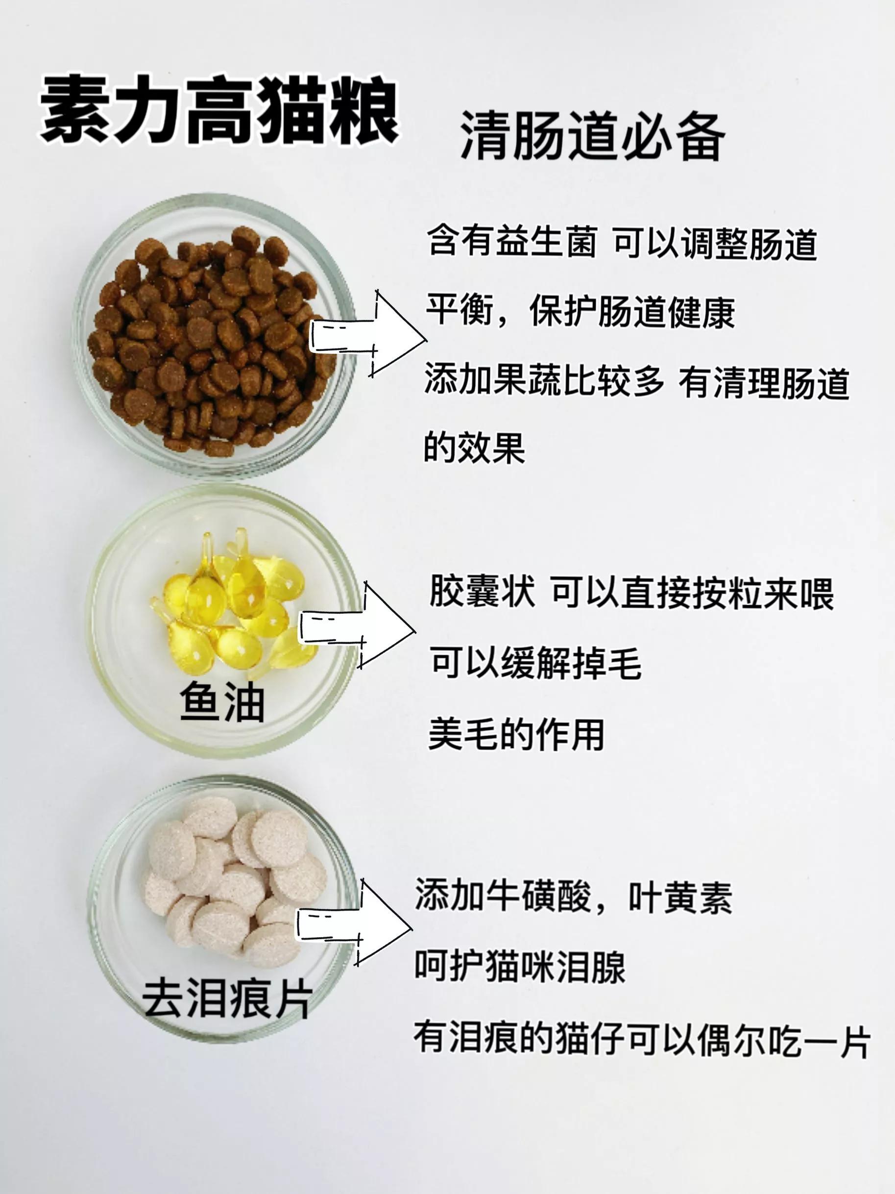 猫粮囤货省钱攻略,猫粮囤货进口