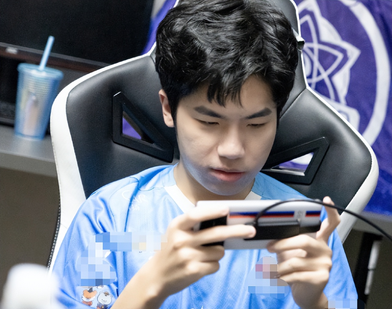 暖阳操作和花海谁强,花海和暖阳谁荣誉更高