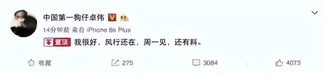 姚笛被爆婚内出轨,姚笛和文章绯闻后现状