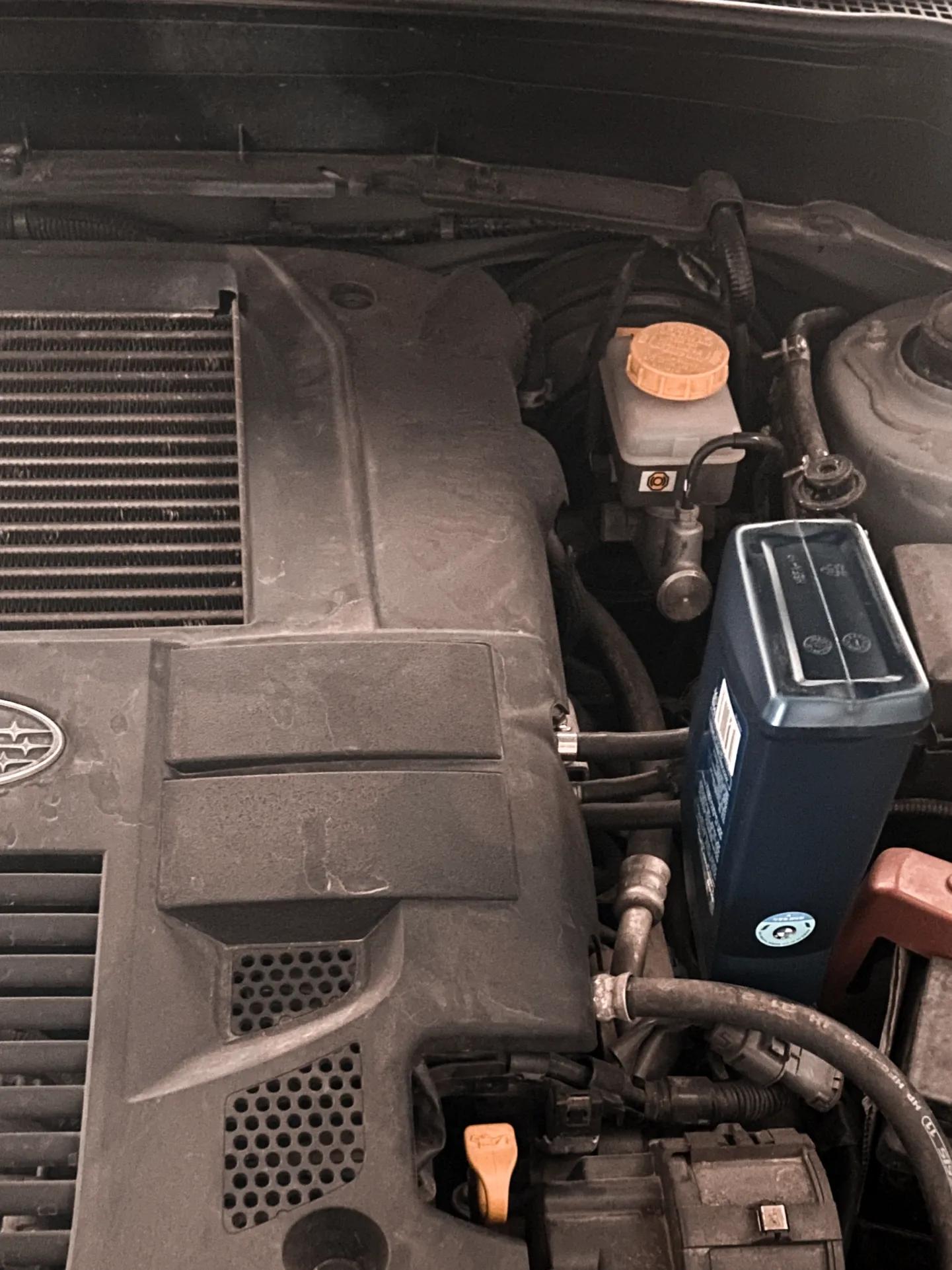 车龄08年的斯巴鲁森林人,斯巴鲁森林人10年车龄