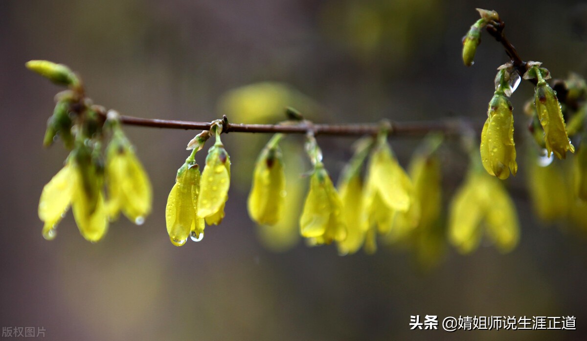 莫名其妙被扣40分了,被扣40分怎么补救