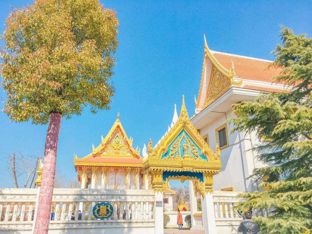 洛阳攻略洛阳必去三大景点,洛阳十大必去景点