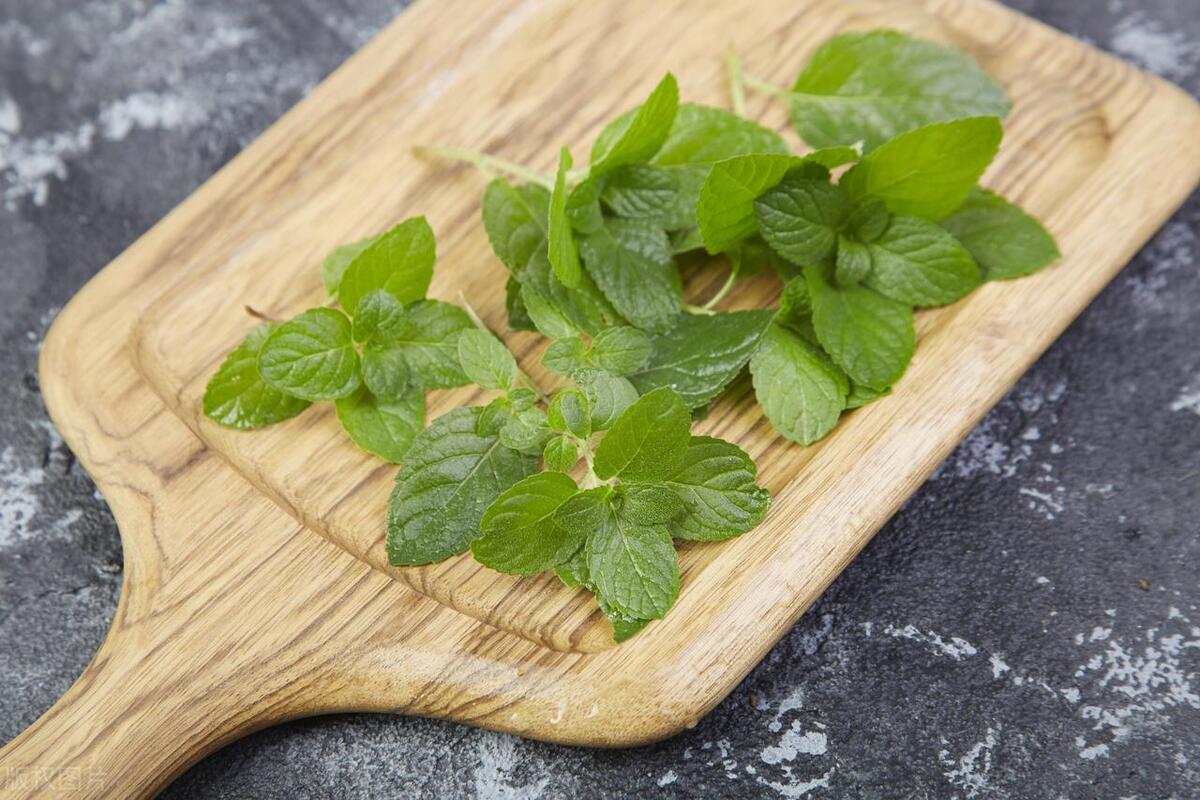 薄荷生虫怎么处理,薄荷怎样才能彻底清除掉