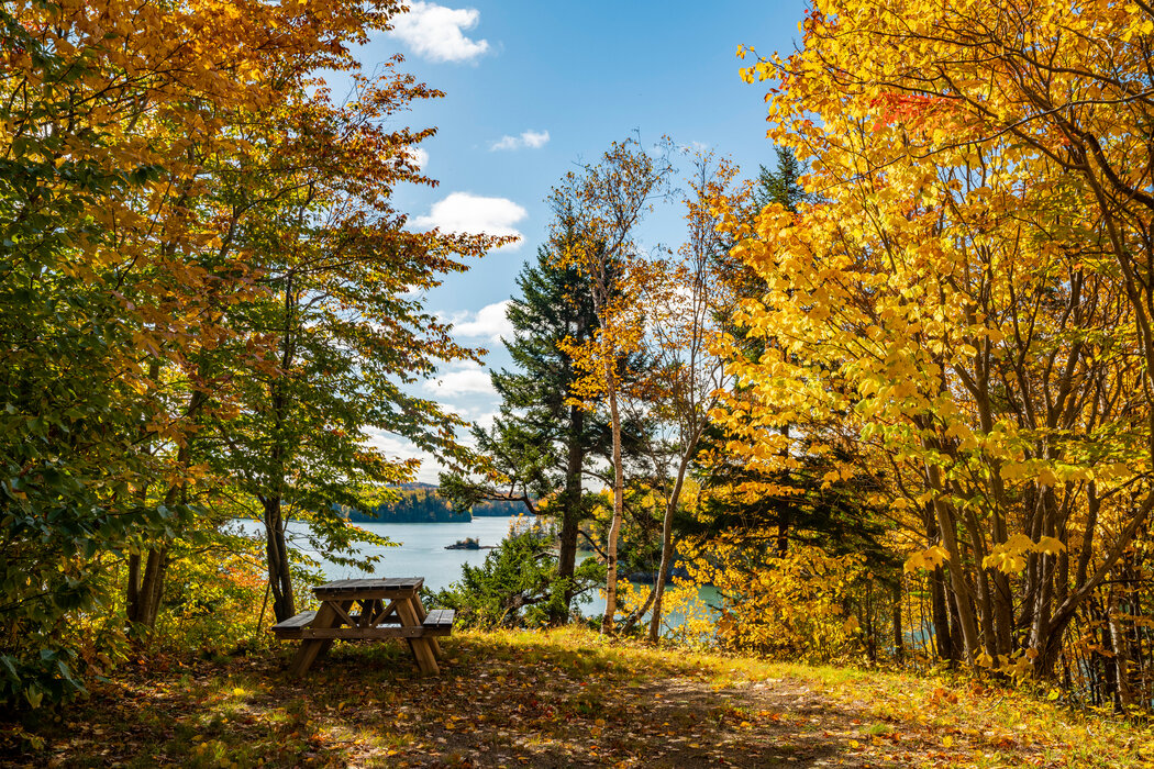 疫情后哪个国家旅游最好,疫情后海外旅游推荐