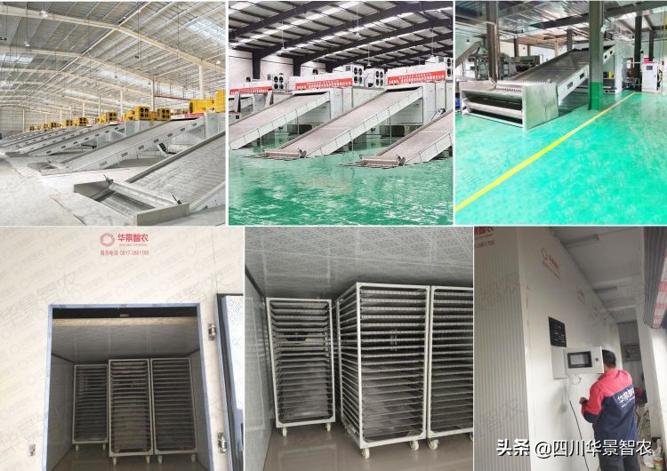 烘干机药材科普,烘干设备知识点