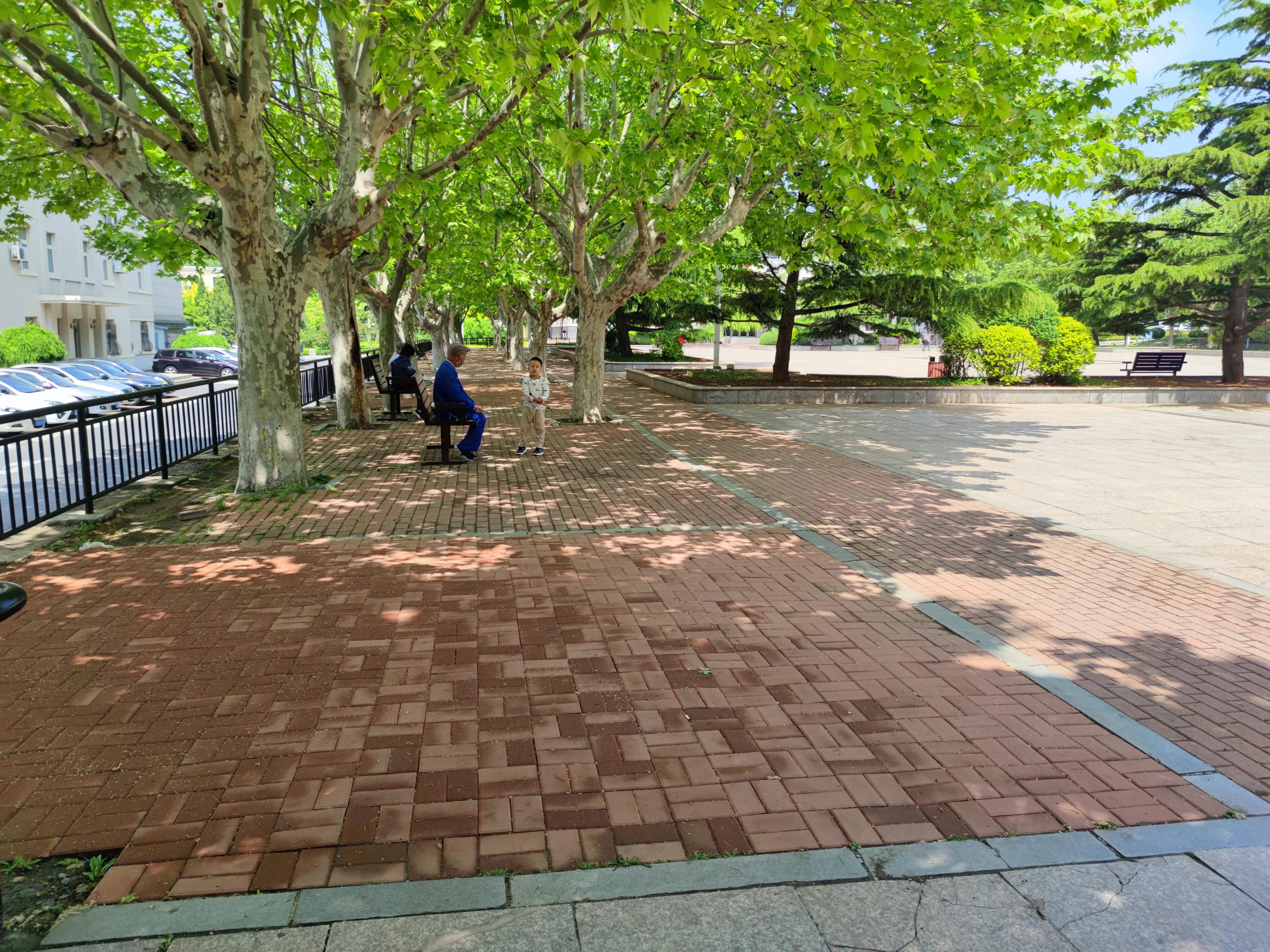 东北退休大妈带孙三年,总结出:4事不做,3物不吃,带孙辈的要懂